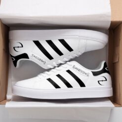 Evanescence a1 Skate New Shoes B22