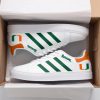 Miami Hurricanes Skate New Shoes B21