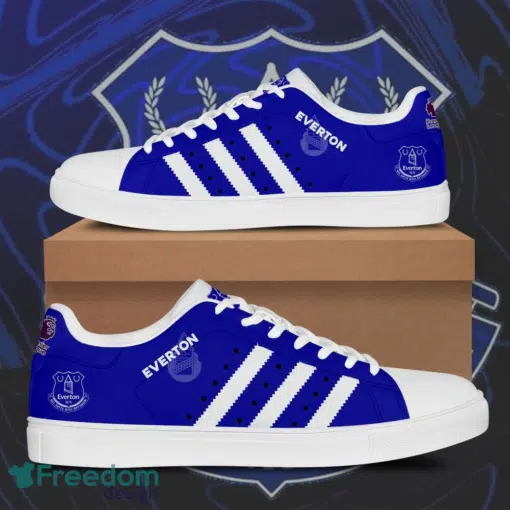 Everton FC Skate Stan Smith Shoes B21