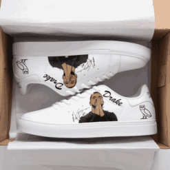 Drake Stan Smith Shoes
