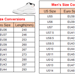 size Jordan 13